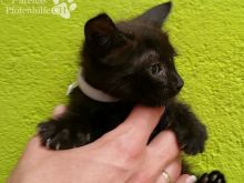 Foto 20.07.16 14 56 57.jpg