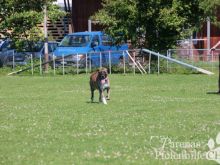 IMG_3554.JPG