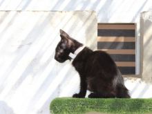 PEGGI5 (3) (Large).jpg