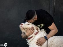 Ivan&Socrates_WZ.jpg