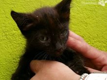 Foto 20.07.16 14 55 51.jpg