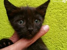 Foto 20.07.16 14 58 20.jpg