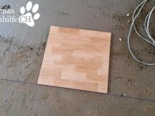 13413177_1141212909254726_6684835372214425287_n.jpg
