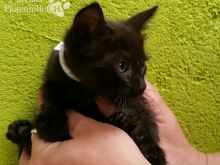 Foto 20.07.16 14 54 19.jpg