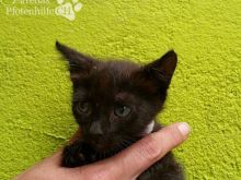 Foto 20.07.16 14 57 14.jpg