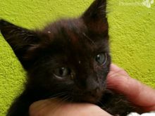 Foto 20.07.16 14 56 39.jpg