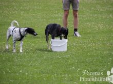 IMG_3736.JPG