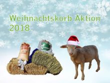 Weihnachtskorb Schafe und Ziegen.jpg