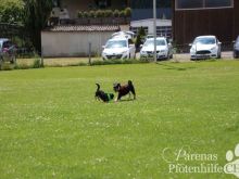 IMG_3704.JPG