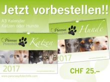 Kalender_Vorbestellen2.jpg