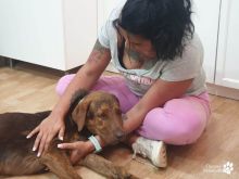 Photo_1686636281191 (1).jpg