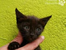 Foto 20.07.16 14 57 33.jpg