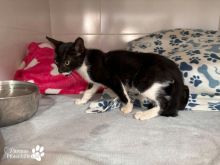 Photo_1790426438451.jpg