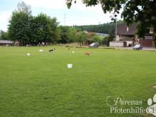 IMG_3780.JPG