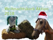 Weihnachtskorb Huftiere.jpg