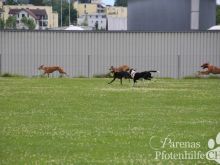 IMG_3784.JPG