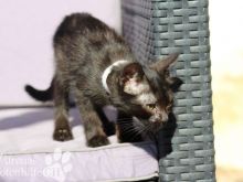 PEGGI5 (10) (Large).jpg