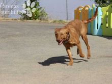 DESPINA8 (12).JPG