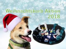 Weihnachtskorb Hund.jpg