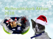 Weihnachtskorb Katzen.jpg
