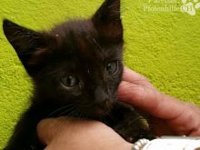 Foto 20.07.16 14 56 12.jpg