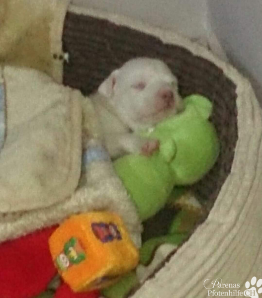 Foto 03.08.20, 10 09 35.png