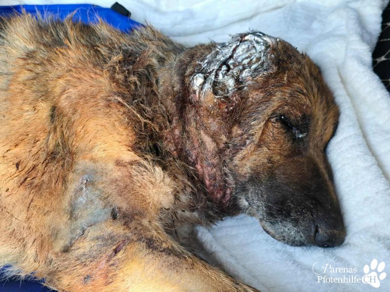 Photo_1758896976695.jpg
