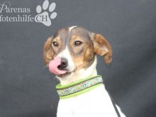 2015-10-16 14.59.39 (Large).jpg