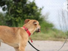 BAXTER1 (22).jpg