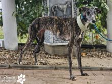 Foto 22.01.26, 18 39 25 (15).jpeg