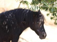 Lian_0643.jpg