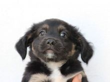NALA (44).jpg