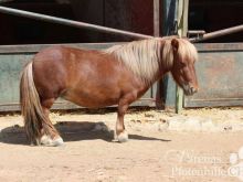 Zoe_0637.JPG