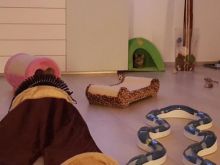 Aloe (neu Luna) & Krokus (neu Lucy) (9).JPG