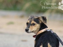 CONCHI (14).jpg