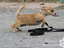 SEBASTIAN (26).jpg