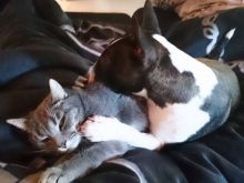 mina und arya.jpg
