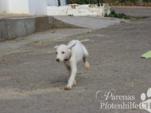 BRISA (11).jpg