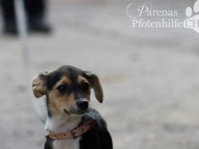 CONCHI (21).jpg