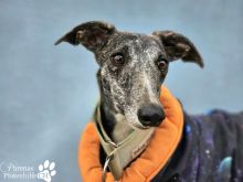 Foto 22.01.26, 18 39 25 (21).jpeg