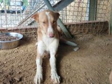 Photo_1743200781704.jpg