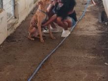 WhatsApp Image 2022-08-09 at 12.59.32.jpg