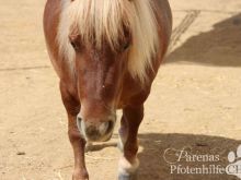 Zoe_0634.jpg
