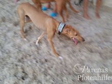 11830742_10153196087628897_1208661461_n.jpg