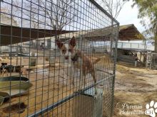 474655783_1024010813092723_4905258470591865602_n.jpg