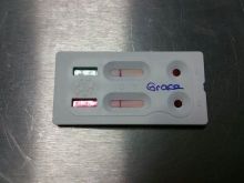 Grace.jpg