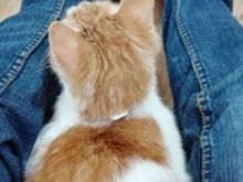 IMG_20170316_095520.jpg