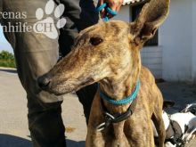 12242788_10205300711106487_1294612615_o.jpg