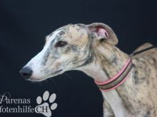 ALMENDRA (13).jpg