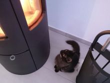 Aloe (neu Luna) & Krokus (neu Lucy) (12).JPG